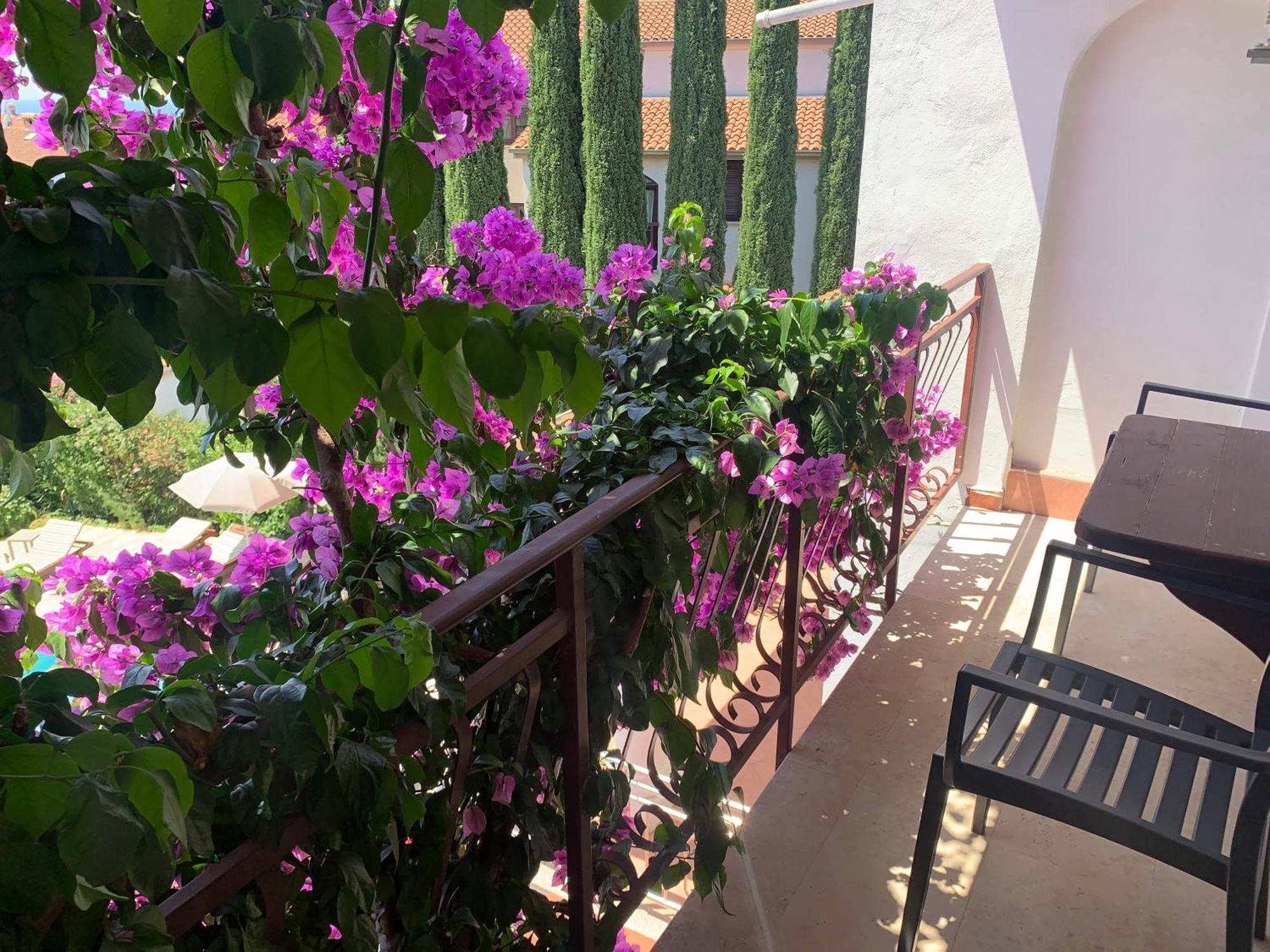 Gargamelo Pension Poreč Exteriér fotografie